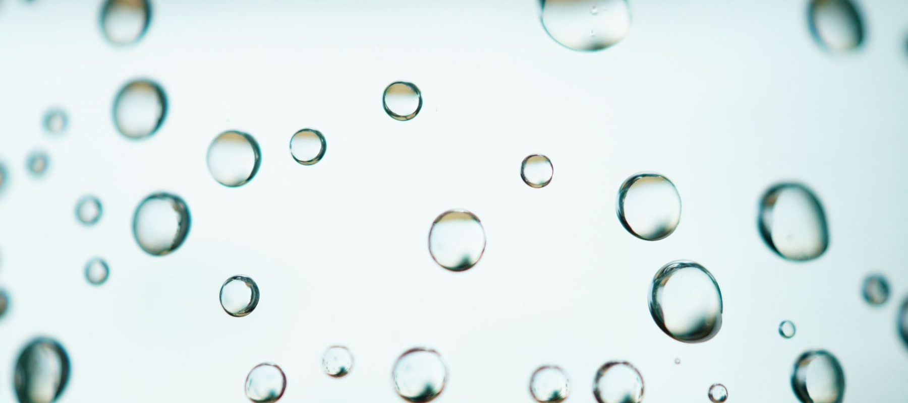 oliva-slider_6